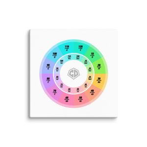 Camelot Wheel Canvas Print